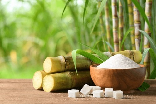 Sugar Production